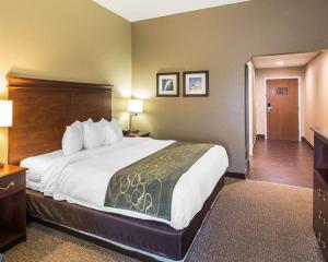Foto dalla galleria di Comfort Suites Cookeville a Cookeville