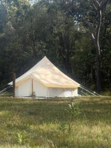 a white tent in a field with trees in the background at Ventricosa Jervis Bay in Tomerong +7 photos