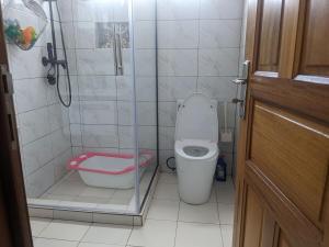 a small bathroom with a shower and a toilet at Luxury Mansion for Rent in Kigali +27 photos