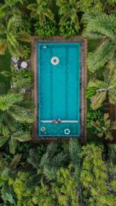 eine Aussicht über einen von Bäumen umgebenen Pool in der Unterkunft Tissa Wild Heaven in Tissamaharama