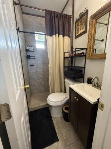 タラハシーにあるCozy Guest house near FSU Trails and the airportのトイレ、シャワー、洗面台を備えたバスルーム +5枚の写真