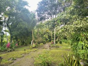 Billede fra billedgalleriet på Quinta Kartagus i La Libertad