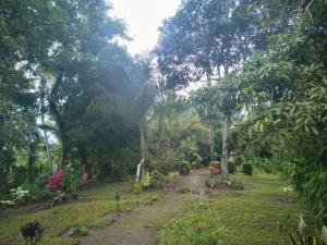 Billede fra billedgalleriet på Quinta Kartagus i La Libertad