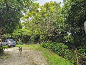 Billede fra billedgalleriet på Quinta Kartagus i La Libertad + 16 billeder