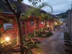 a courtyard with a bunch of palm trees and a building at Kongkeo Guesthouse in Muang Phônsavan