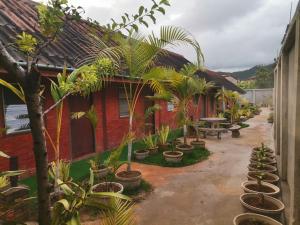 a courtyard of a house with a bunch of plants at Kongkeo Guesthouse in Muang Phônsavan