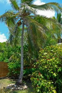 圣弗朗索瓦Maison bord de mer à 100 m的相册照片 更多18张照片