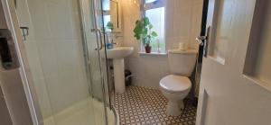 un baño con inodoro y lavabo en Cozy 2BDR Home Near Luas 5km to City Centre, en Dolphinʼs Barn