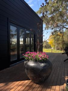 Fotografie z fotogalerie ubytování Kingaley Farmstay v destinaci Fosterton