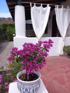 Fotografie z fotogalerie ubytování Appartamenti nel cuore di Vulcano Eolie v destinaci Vulcano