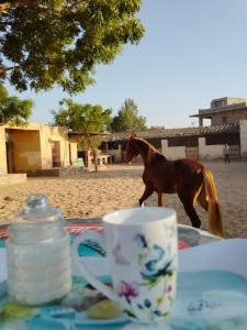 a horse walking in front of a table with a cup at Rawla Anand Rohet in Rohat