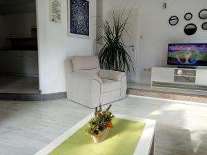 a living room with a chair and a television at Apartment&Room Romano in Matulji