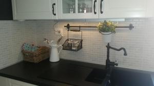 Kuchyň nebo kuchyňský kout v ubytování Apartment Diminic Melin