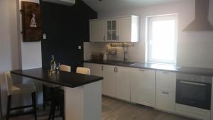 Kuchyň nebo kuchyňský kout v ubytování Apartment Diminic Melin + 20 fotografií