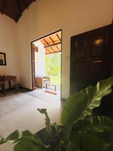 Fotografie z fotogalerie ubytování Lotus and Moon v destinaci Habaraduwa Central