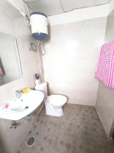 ZirakpurにあるSavitry grees Home stayのトイレと洗面台のある小さなバスルーム