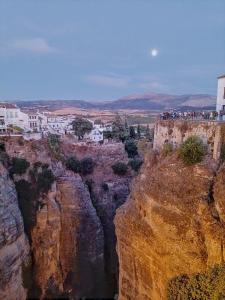 Naturlandskabet i nærheden af lejligheden