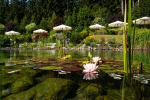 a pond with lilies and umbrellas in a garden at Hotel Hubertus in Neukirchen am Großvenediger