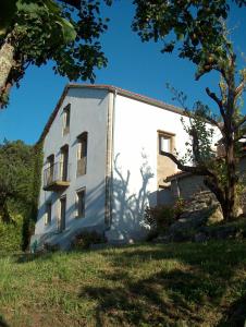 a white building with a tree in front of it at Casa do Fieiro in Miñortos +97 photos