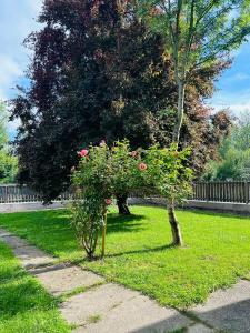 O grădină în afara Guesthouse Tulln