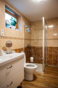 un bagno con wc, lavandino e doccia di Bee House a Rogaška Slatina Altre 21 foto