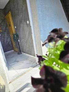 Ảnh trong thư viện ảnh của Jacuzzy Rooms Andjela ở Subotica