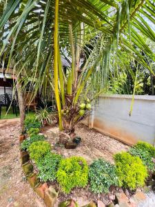 Gallery image of V island mundro in Munroe Island