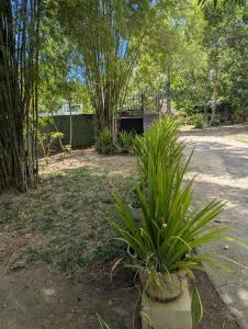 Zahrada ubytování Green Villa Kamburugamuwa