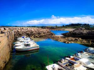 a group of boats are docked in a harbor at La maisonnette in Quinéville +6 photos