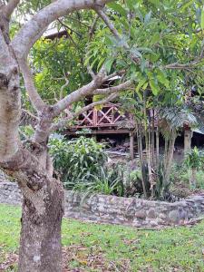 a tree in a garden with a bridge in the background at theoutbackhotel in Tonge