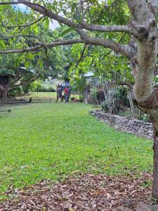 a group of people walking in a field with a tree at theoutbackhotel in Tonge