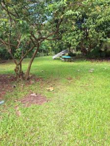 a park with a tree and a bench in the grass at theoutbackhotel in Tonge