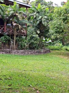 a yard with green grass and trees and a house at theoutbackhotel in Tonge