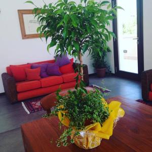 Posezení v ubytování Moresco Resort
