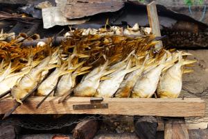 a bunch of fish in a wooden crate at Hôtel Restaurant Gites Kribi in Kribi