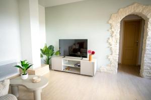 TV a/nebo společenská místnost v ubytování L'Arche de Fleury - Bright & quiet apartment 5 min from Orléans