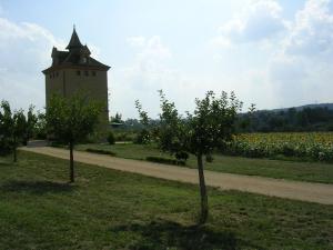 a building in the middle of a field with two trees at Le Pigeonnier de Roudet in Larrazet