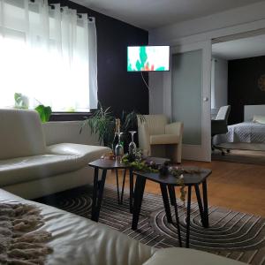 a living room with a couch and a tv on a wall at Pension - Ferienwohnung K&M in Nünchritz +41 photos