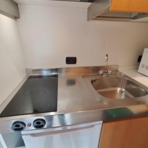 a kitchen with a sink and a stainless steel counter top at Casa Preziosa Cielo Alto in Breuil-Cervinia