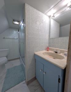 a bathroom with a sink and a shower and a toilet at The Avondale Attic in Chicago +13 photos