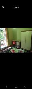 a green room with a bed and a table at Lakaz in Port Louis