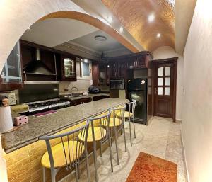 Kuchyň nebo kuchyňský kout v ubytování The Paradise Luxury Apartment at TenTon Zamalek