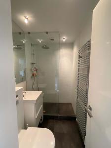 a bathroom with a toilet and a glass shower at Luxury City Stay Cozy Apartment with Sunny Balcony in Copenhagen