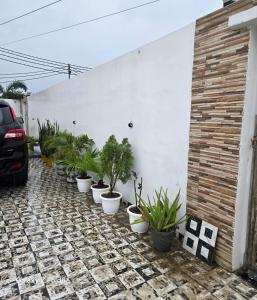 a row of potted plants sitting next to a white wall at Shera farm in Khatauli