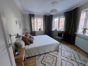 Un dormitorio con una cama y dos ventanas. en Upscale 3BR Apartment in City Center, en Copenhague
