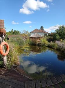 a small pond with an orange ring in the middle at Ferienhaus Wagner in Bad Königshofen im Grabfeld