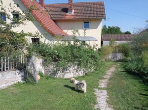 a dog standing in the grass in front of a house at Ferienhaus Wagner in Bad Königshofen im Grabfeld