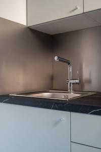 Un fregadero de cocina con un grifo sobre una encimera en Le Central, en Thonon-les-Bains 24 fotos más