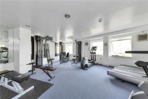 Γυμναστήριο ή/και όργανα γυμναστικής στο The Luxurious Penthouse