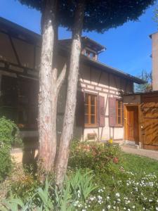 a house with a tree in front of it at Petite maison SOUS LE TILLEUL in Schiltigheim +8 photos
